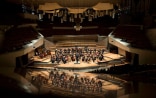 Neues Zürcher Orchester NZO